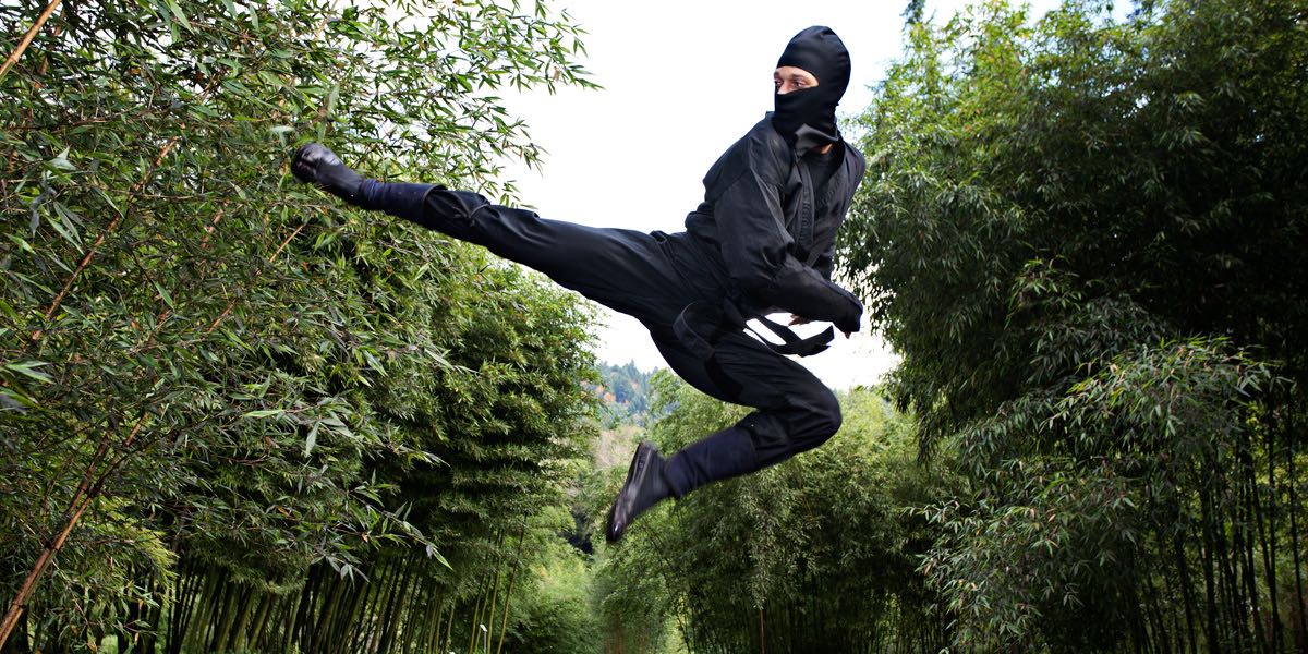 The Portland Ninja